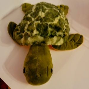 Sea Turtle